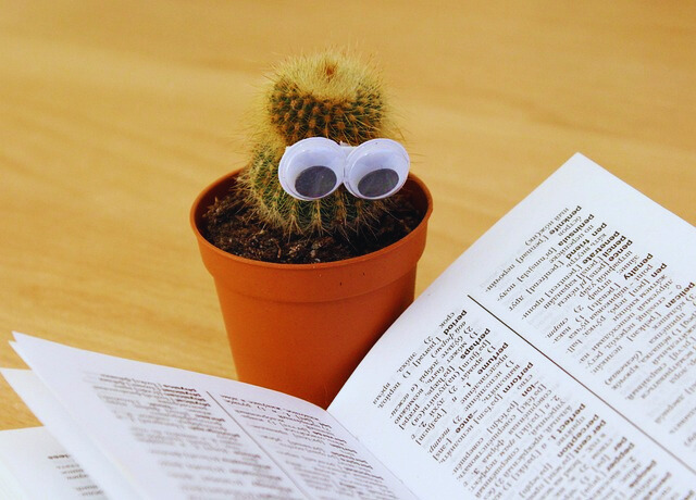 Błędy w nauce języków obcych